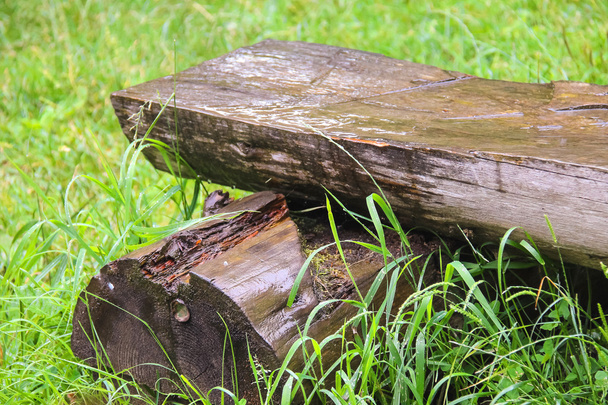 Bench made of logs in the meadow - Φωτογραφία, εικόνα