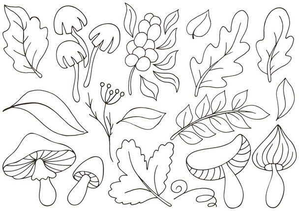 Autumn. Set of vector illustrations in hand drawn style. Monochrome poster with autumn leaves and mushrooms. Collection of icons, signs, pins, stickers - Vector, Image