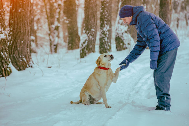 Happy man with dog walking in a winter snowy forest - Foto, Bild