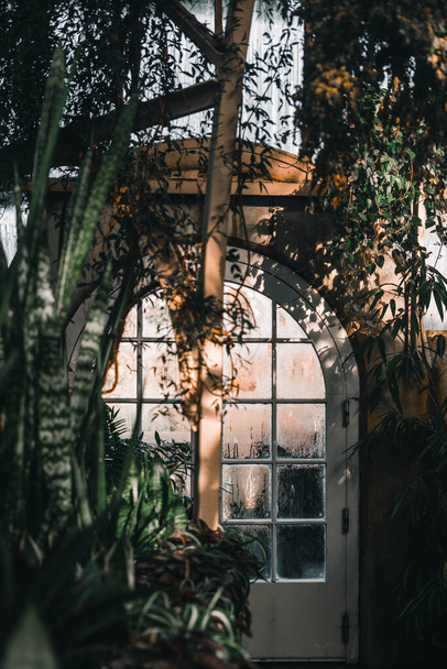 porta branca redonda com painéis molhados da chuva dentro do jardim botânico com plantas exóticas agradáveis, jardim botânico christchurch, Nova Zelândia - Natureza Estilo de vida conceito - Foto, Imagem