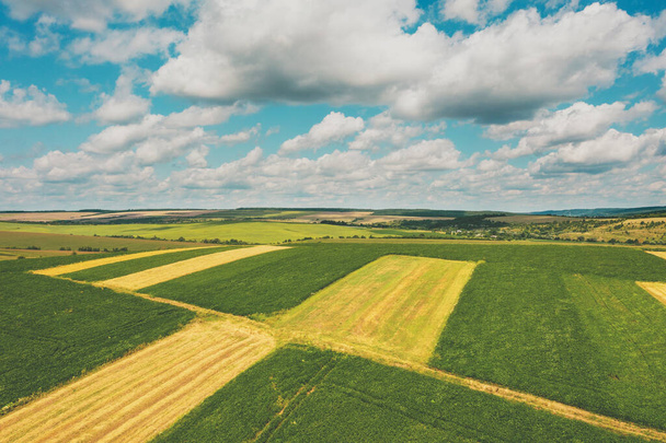 Aerial view of cultivated soy and wheat field in summer. Rural landscape - Photo, image