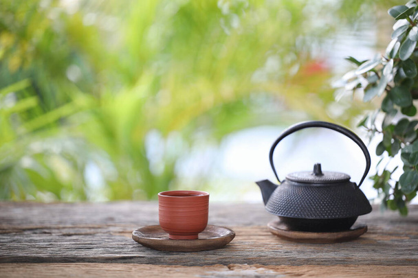 Metal tea pot and tea cup and plant pot on wooden table - Photo, Image