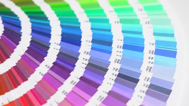 O designer gráfico escolhe cores do guia de paleta de cores. Descubra as melhores cores Pantone - Filmagem, Vídeo