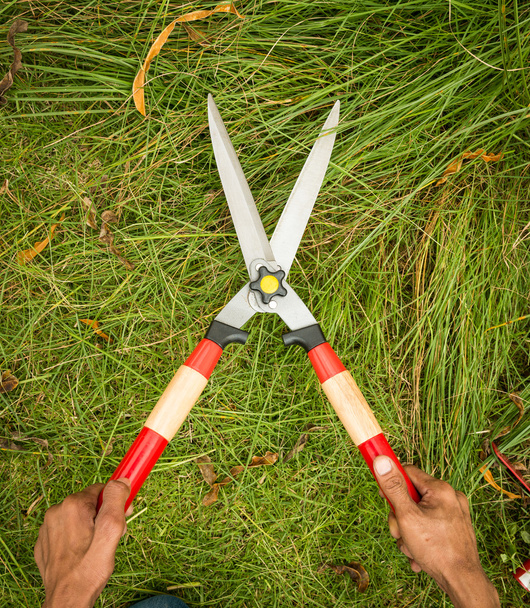 személy cutting fű a fű nyírása - Fotó, kép