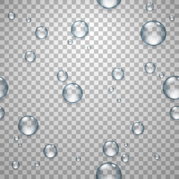 Gouttes d'eau claires sur une surface transparente. Modèle sans couture vectoriel réaliste. - Vecteur, image