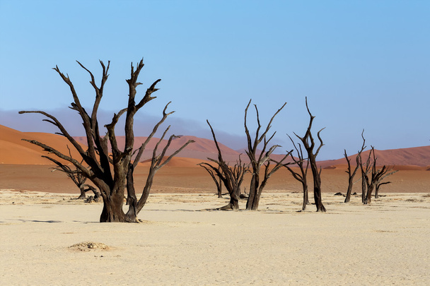 SOSSUSVLEI prachtige landschap van death valley, Namibië - Foto, afbeelding