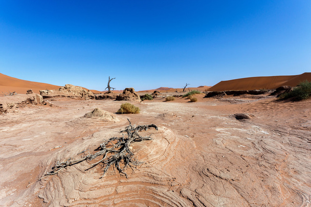 Sossusvlei piękny krajobraz doliny śmierci, namibia - Zdjęcie, obraz