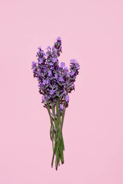 Fresh natural lavender bouquet on pink background. Flat lay, place for text. vertical image - Fotó, kép