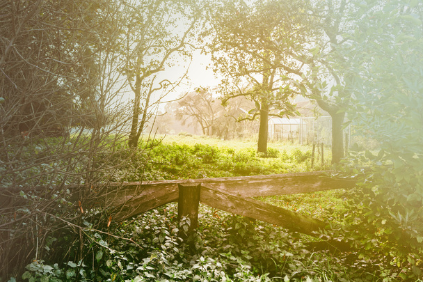 Paysage rural avec clôture en bois
 - Photo, image