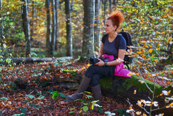 Woman nature photographer hiking with her backpack in the mountains through beech and birch forest during autumn - Photo, Image