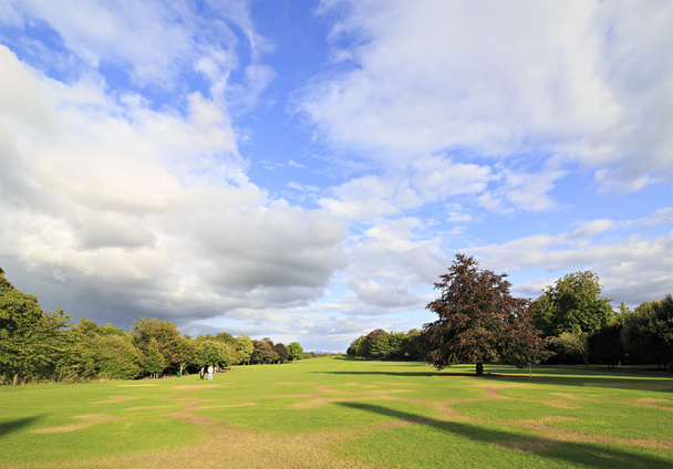 Hermoso parque en el territorio del castillo de Kilkenny
 - Foto, Imagen