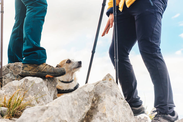 hond zonder ras wandelen met zijn eigenaren. sport en huisdieren. paar bergbeklimmers wandelen met hun hond. - Foto, afbeelding