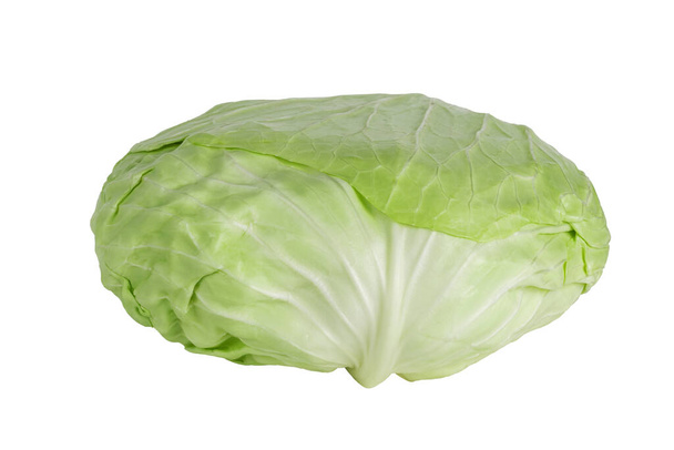 Flat or Taiwanese cabbage cabbage isolated on white background. Close up of cabbagehead. - Photo, Image
