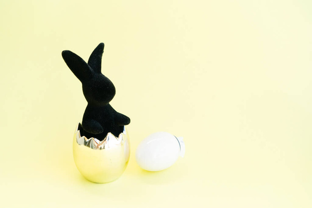 Easter Egg hunt with Easter stylish bunny with egg on yellow background - Foto, immagini
