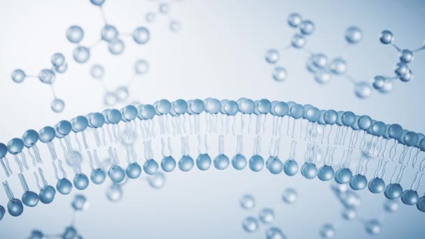 Structure cytomembrane transparente, rendu 3d. - Séquence, vidéo
