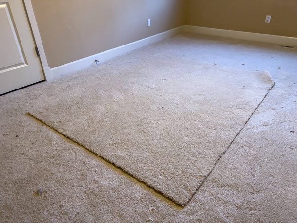 Vista de ângulo largo de um grande quadrado de tapete no meio de um quarto vazio - Foto, Imagem