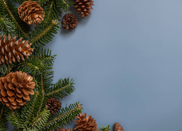 青い、コピースペース上の平らな枝と松のコーンの上のビュー。クリスマスまたは正月の冬の組成物 - 写真・画像