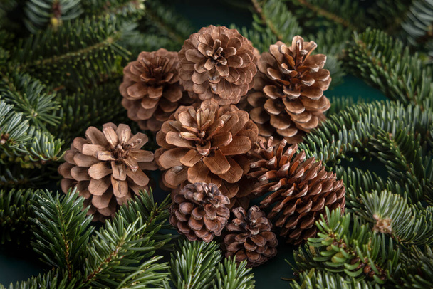 Les branches de sapin et les cônes de pin se rapprochent. Noël ou Nouvel An composition hiver vacances - Photo, image