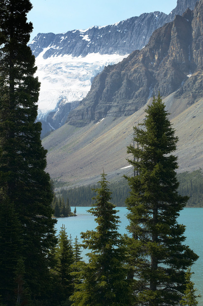 Kanadan maisema Bow järvi ja metsä. Albertassa. Kanada
 - Valokuva, kuva