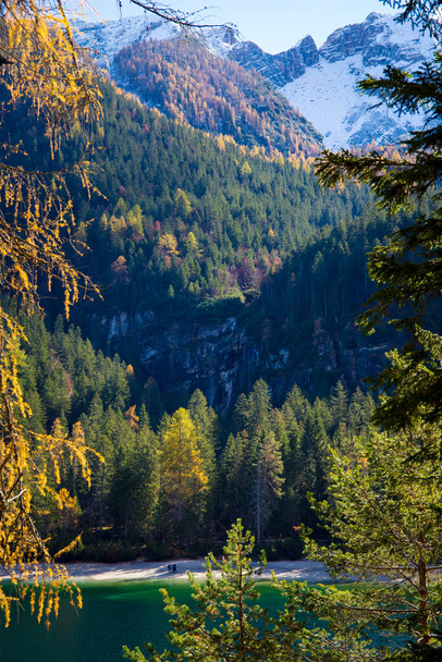 Vista de otoño del lago Tovel, Trentino Alto Adigio, Italia. Tiro vertical con follaje. - Foto, Imagen