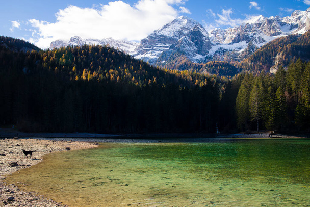 Las aguas cristalinas del lago Tovel, Trentino Alto Adigio, Italia. Vista panorámica con montañas nevadas en el fondo. - Foto, Imagen