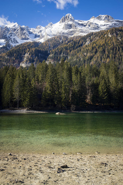 Las aguas cristalinas del lago Tovel, Trentino Alto Adigio, Italia. Tiro vertical con montañas en el fondo. - Foto, Imagen