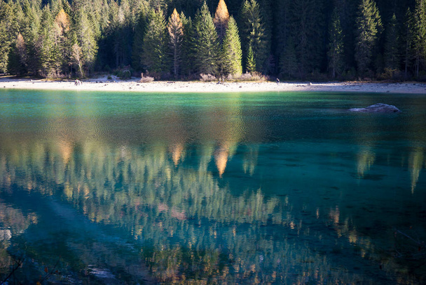 Кришталеві чисті води озера Товель, Трентіно-Альто-Адіж, Італія. Осінній погляд з роздумами. - Фото, зображення