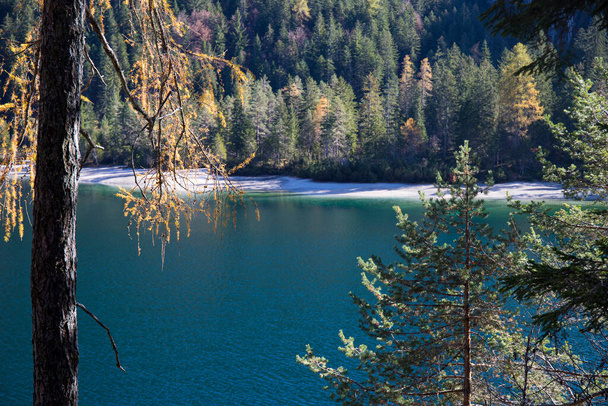 Кришталеві чисті води озера Товель, Трентіно-Альто-Адіж, Італія. Осінній вид з деревами на передньому плані. - Фото, зображення