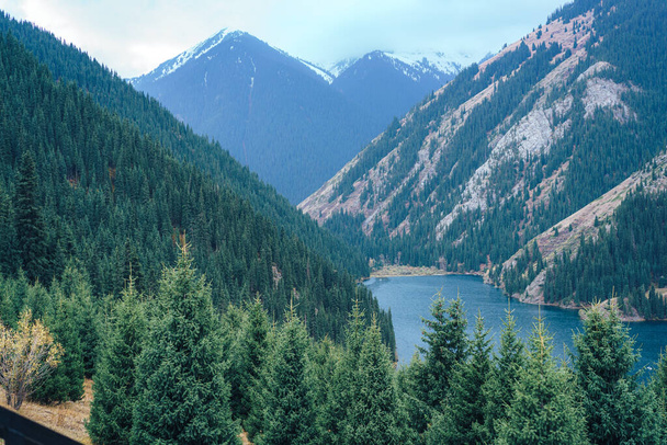 Lake among the Tien Shan mountains with green firs. - Foto, Bild