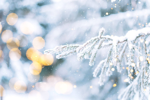 Χιονισμένα κλαδιά χριστουγεννιάτικων δέντρων με φώτα από γιρλάντες κατά της πτώσης του χιονιού. - Φωτογραφία, εικόνα