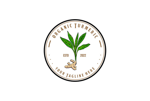 Vintage Circular Badge Label von Kurkuma Pflanze für den Bauernhof oder Produkt-Logo - Vektor, Bild