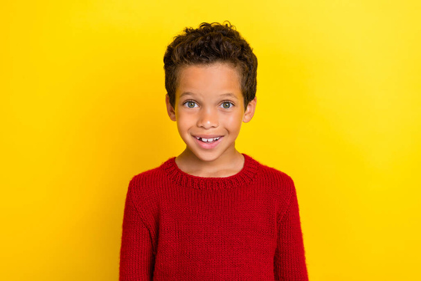 Photo portrait of adorable little pupil boy excited impressed good news wear trendy red knitwear outfit isolated on yellow color background. - Фото, зображення