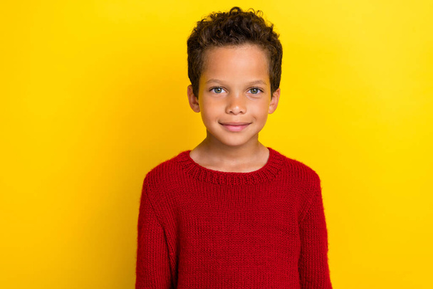 Photo portrait of adorable small schoolboy calm smile holiday sale dressed stylish red knitted clothes isolated on yellow color background. - Foto, Bild