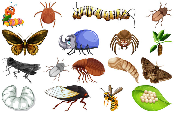 Different kinds of insects collection illustration - Vector, Image
