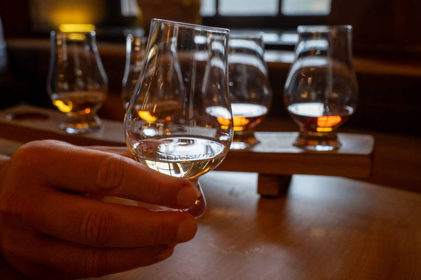 Flight of single malt scotch whisky in glasses served in bar in Edinburgh, UK, tasting of dram of whiskey - Photo, Image
