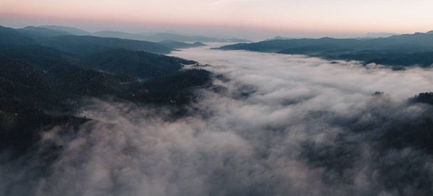 Goldener Nebel im Wald und Morgenlicht - Foto, Bild