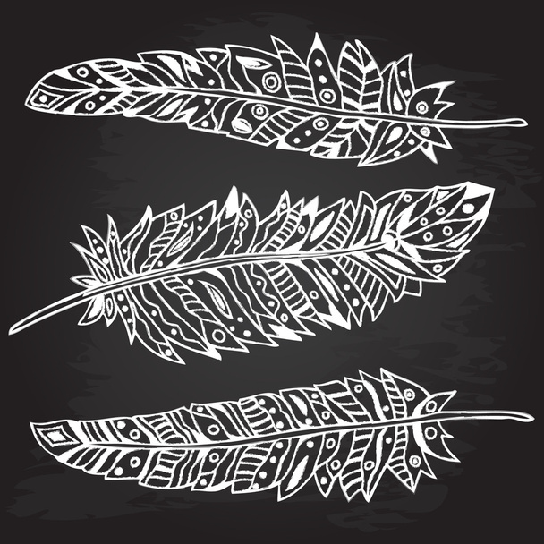 Decorative feathers, vector set. Chalk design, vector illustration. - Vector, Image