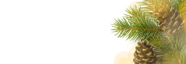 Ramas de árboles de Navidad, conos de coníferas, vista superior con espacio para copiar y luz bokeh sobre fondo blanco. Navidad, vacaciones de invierno, concepto de año nuevo. - Foto, Imagen