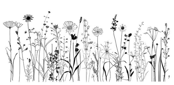 Flores silvestres hierba dibujado a mano sketch.Doodle style.Vector ilustración - Vector, imagen