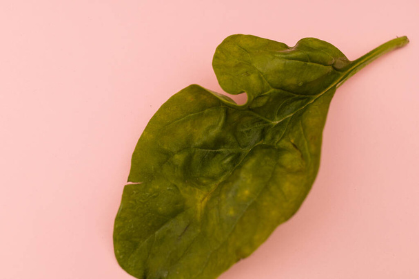 Листя салату на рожевому фоні
 - Фото, зображення