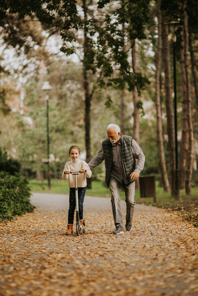 Senior man teaching his granddaughter how to ride kick scooter in the autumn park - 写真・画像