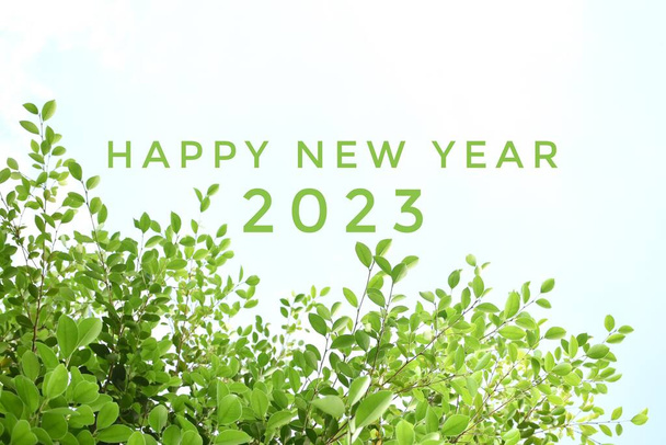 'HAPPY NEW YEAR 2023 'en couleur verte avec des branches ficus et des feuilles de fond, concept pour carte d'invitation de bienvenue et heureux nouveau concept année 2023. - Photo, image