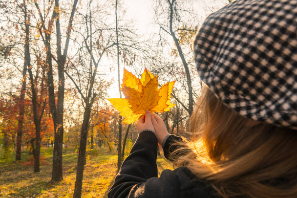 Bosque de otoño. Día soleado. Hojas amarillas cayeron de los árboles. Una chica con un abrigo negro sostiene hojas amarillas en sus manos. Caminatas de otoño en el bosque. Conexión con la naturaleza - Foto, Imagen