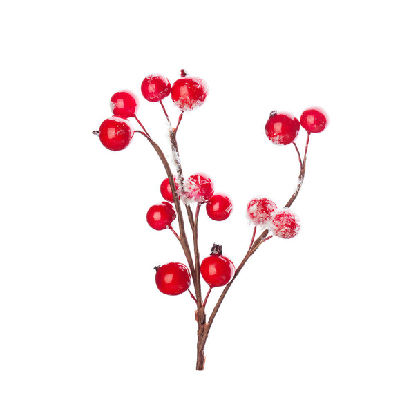 Різдвяна прикраса червоні ягоди Холлі ізольовані на білому тлі
 - Фото, зображення