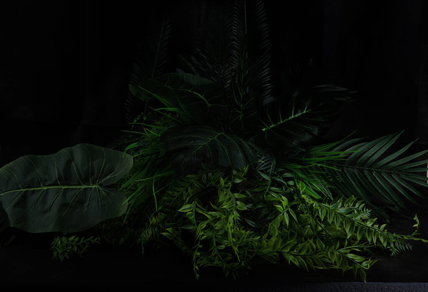 Bush of tropical leaves on dark background. Artificial plastic cloth realistic plants with copy space. - Foto, Bild