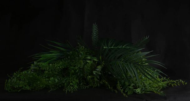 Bush of tropical leaves on dark background. Artificial plastic cloth realistic plants with copy space. - Foto, Bild