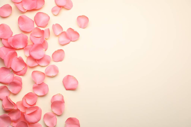 Beautiful pink rose flower petals on beige background, flat lay. Space for text - Foto, immagini