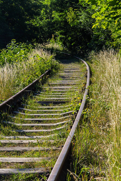 緑の草に覆われた対照的な錆びた鉄道は. - 写真・画像