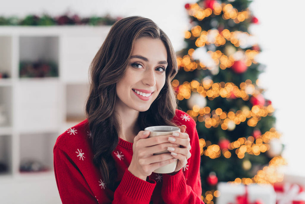 Closeup portrait photo of cute attractive young sweet lady curly brown hairstyle hold mug with hot tea smiling look you enjoy atmosphere indoors. - Foto, Imagem