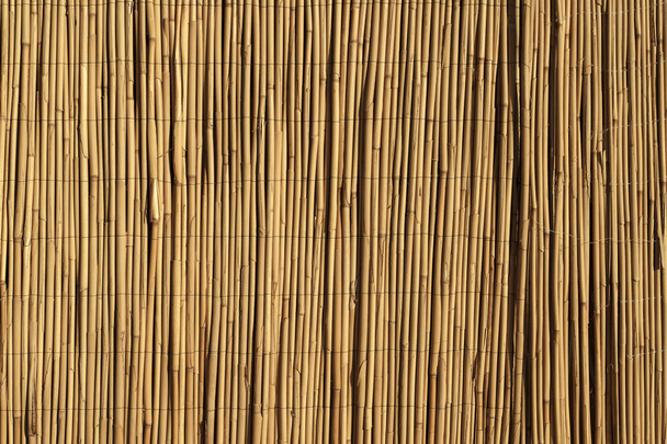 Sfondo di bambù. Struttura in legno pianta di bambù sulla parete decorativa. Foto di alta qualità - Foto, immagini